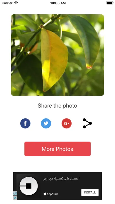 Best Photo Resizer应用截图